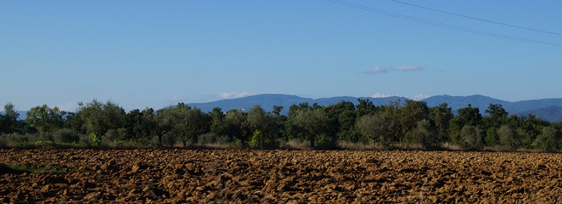 Foto robuust landschap